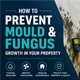 How to Prevent Mould and Fungus Growth in Your Property