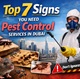top-7-signs-you-need-professional-pest-control-services-in-dubai
