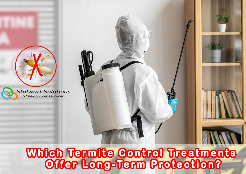 Termite control in Dubai