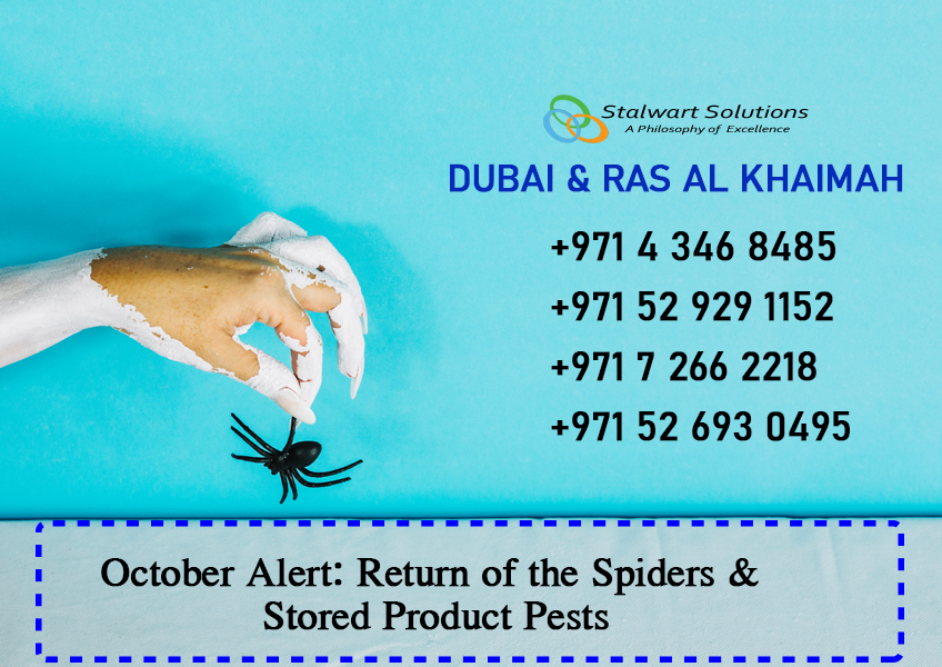 October Alert: Return of the Spiders & Stored