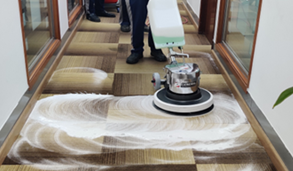 Carpet Cleaning Services