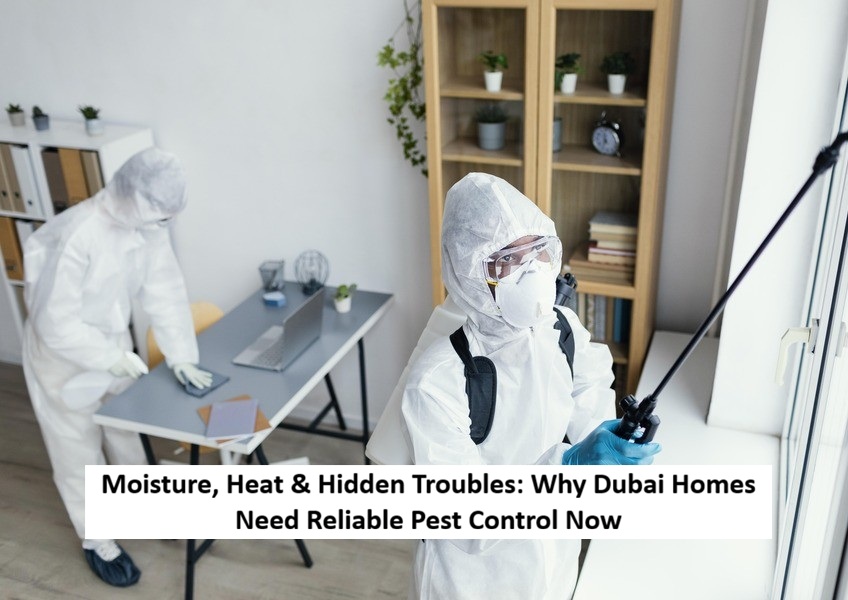 pest control services in Dubai